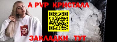 шишки Кандалакша