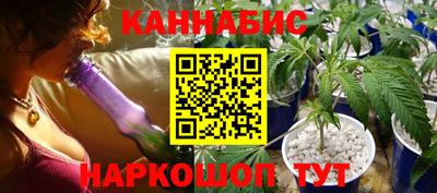шишки Кандалакша